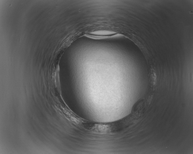 X0000085280665200703161425