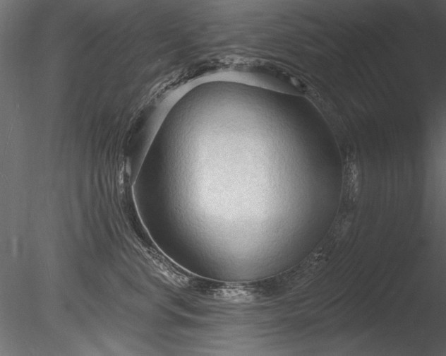 X0000085280668200703161425