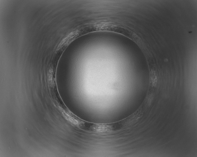 X0000085280670200703161425