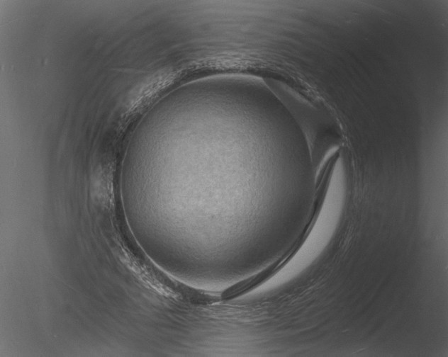 X0000085280681200703161424