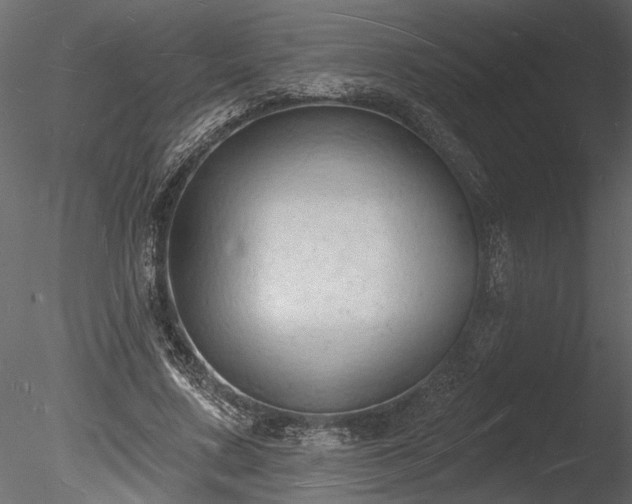 X0000085280683200703161424