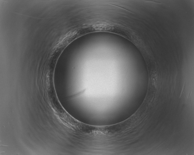 X0000085280690200703161424