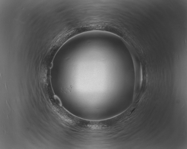 X0000085280693200703161424