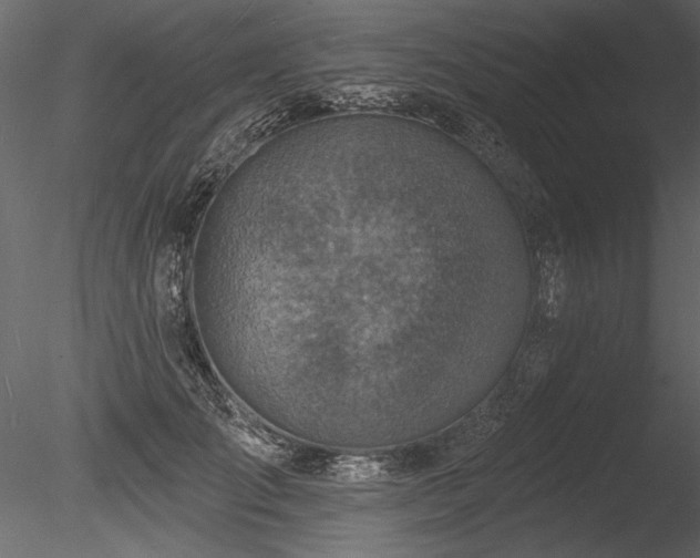X0000085280701200703161424