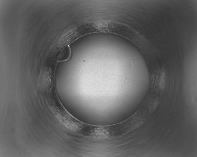 X0000085280702200703161424