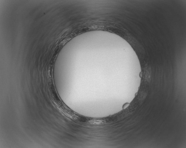 X0000085280711200703161423