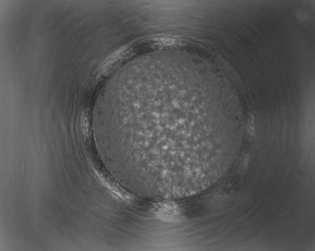 X0000085280715200703161423
