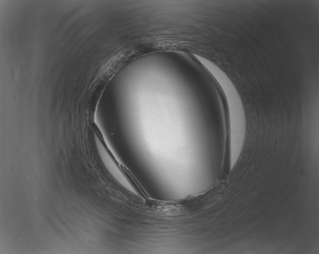 X0000085280716200703161423