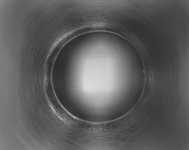X0000085280728200703161422