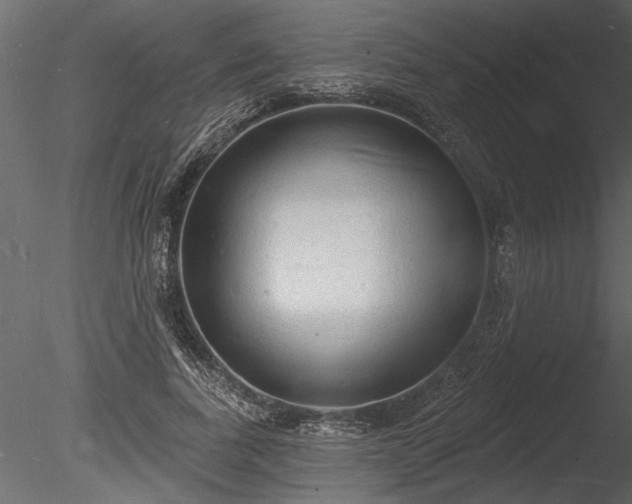X0000085280739200703161423