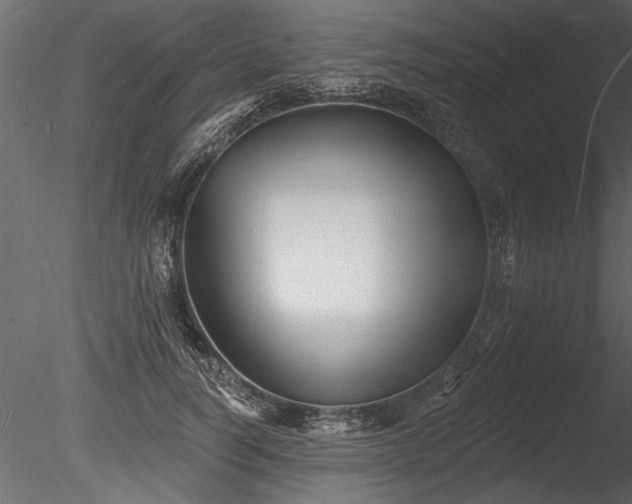 X0000085280746200703161423