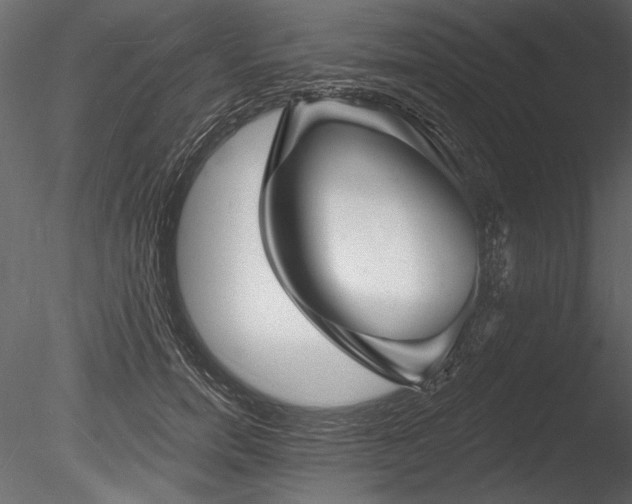 X0000085280750200703161423