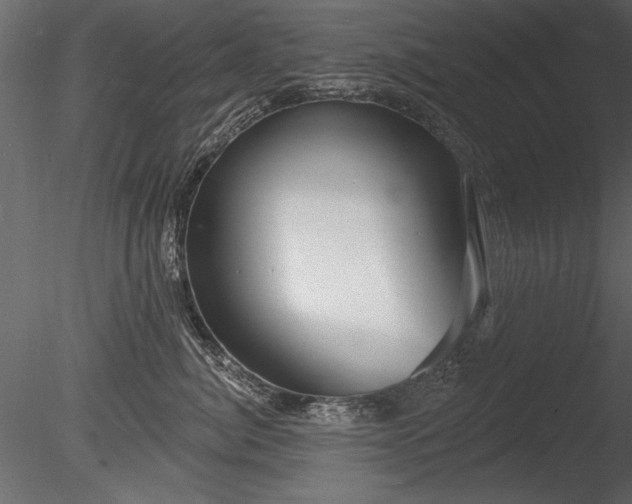 X0000085280764200703161423