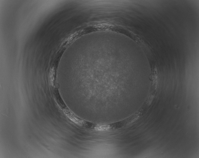 X0000085280767200703161423