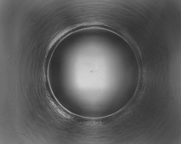 X0000085280789200703161422