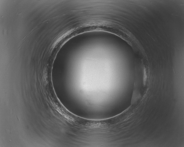 X0000085280826200703161421