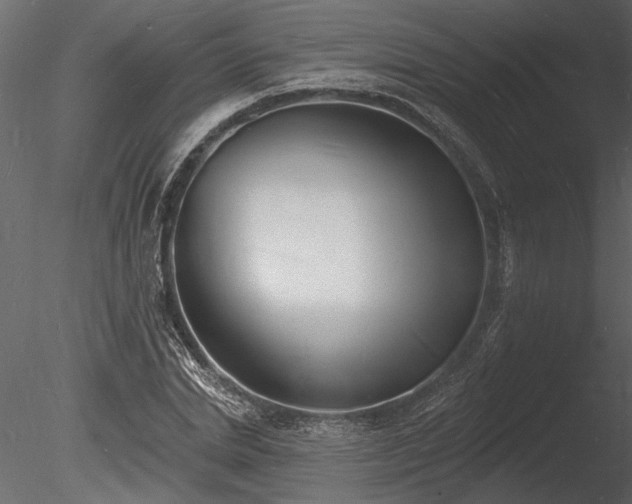 X0000085280830200703161421