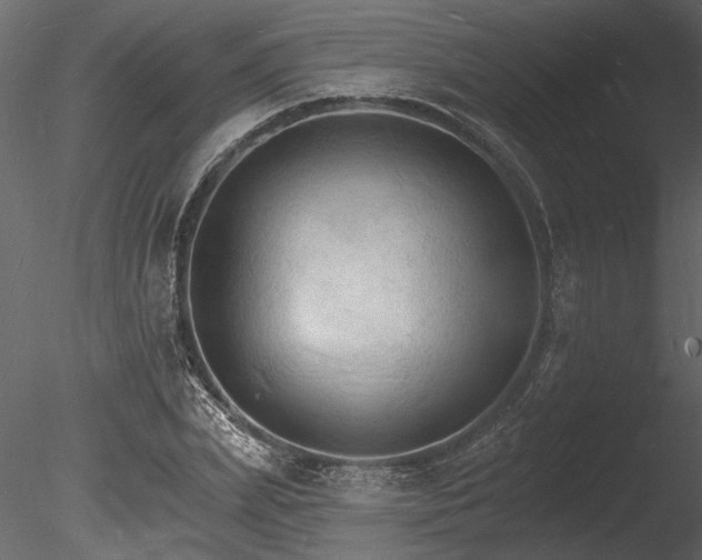X0000085280831200703161421
