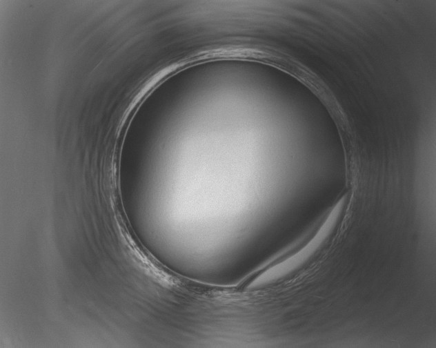 X0000085280852200703161421