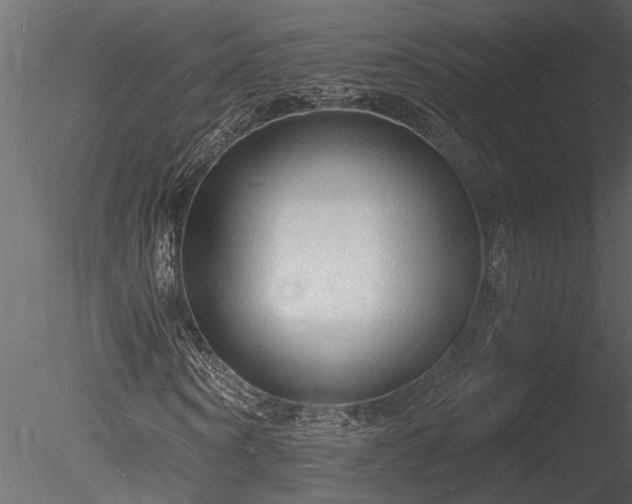 X0000085280866200703161421
