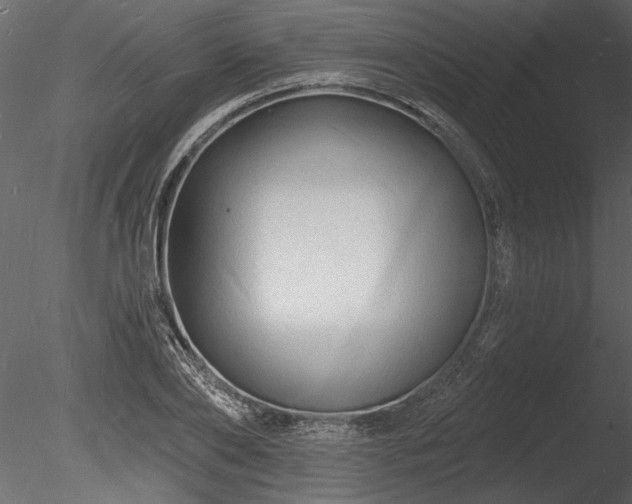 X0000085280886200703161420