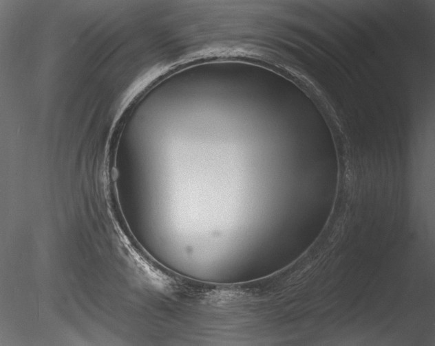 X0000085280894200703161420