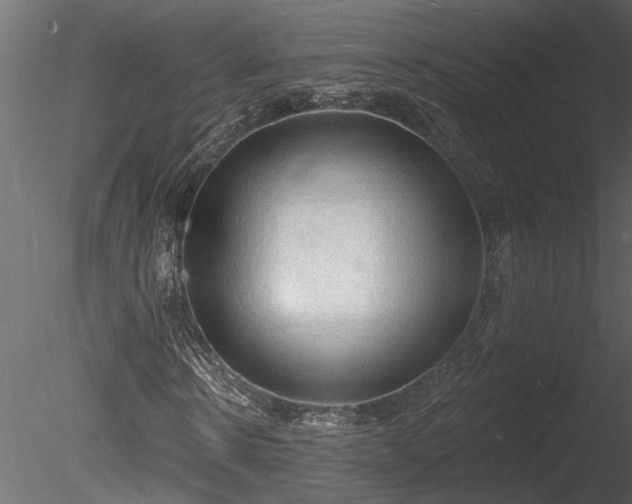 X0000085280914200703161419