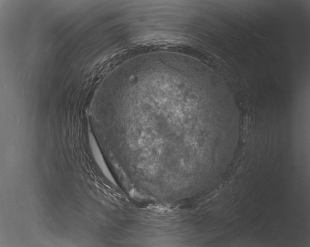 X0000085280917200703161419