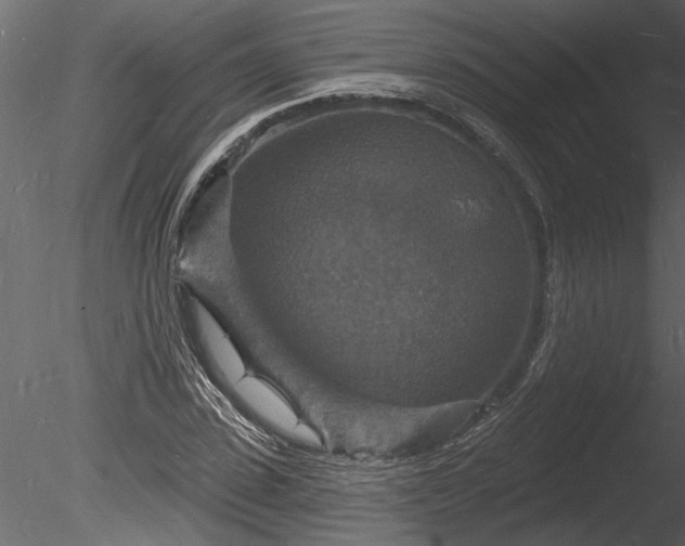 X0000085280923200703161419