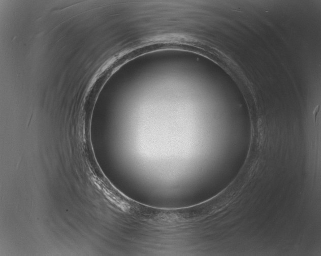 X0000085280931200703161419