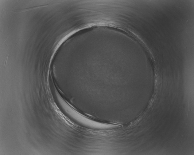 X0000085280932200703161419