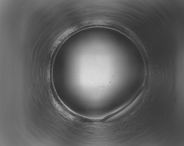 X0000085280938200703161419
