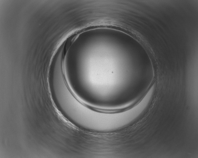 X0000085280942200703161419
