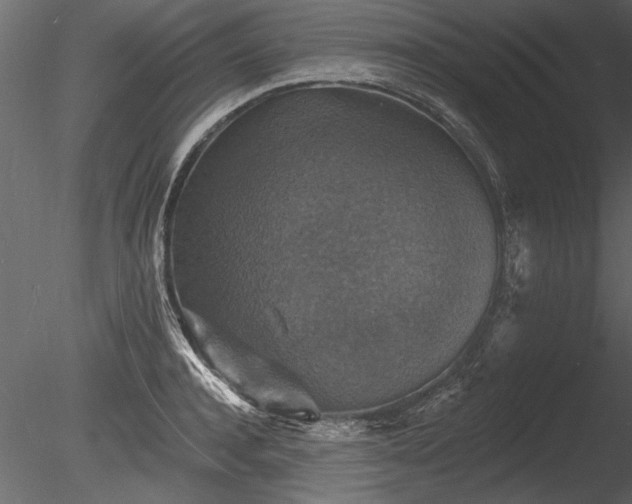 X0000085280944200703161419