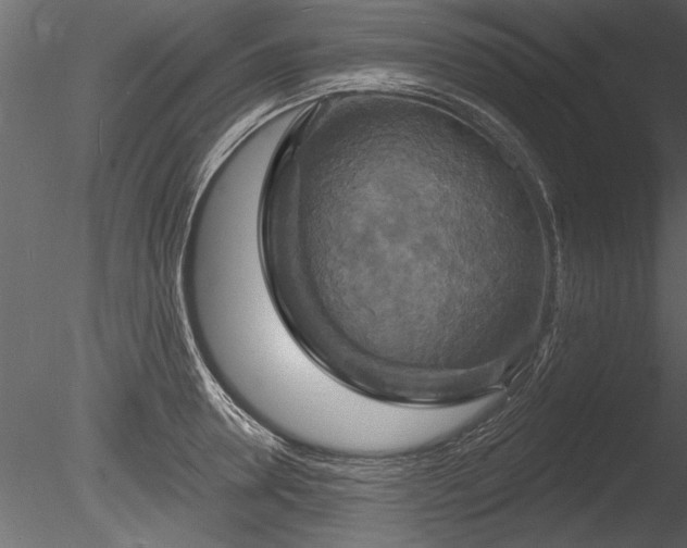 X0000085280946200703161420
