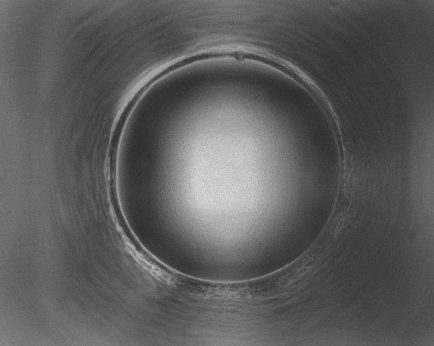 X0000085280951200703161420