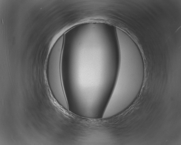 X0000085280960200703161420