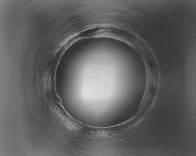 X0000085280969200703161419