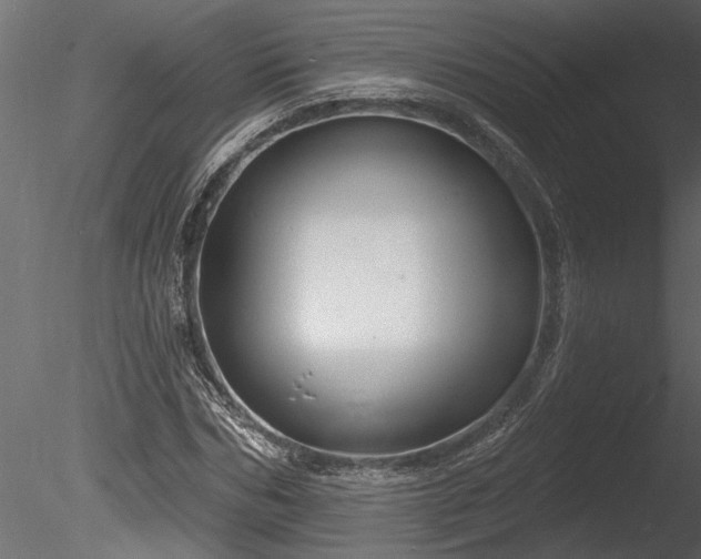 X0000085280970200703161419