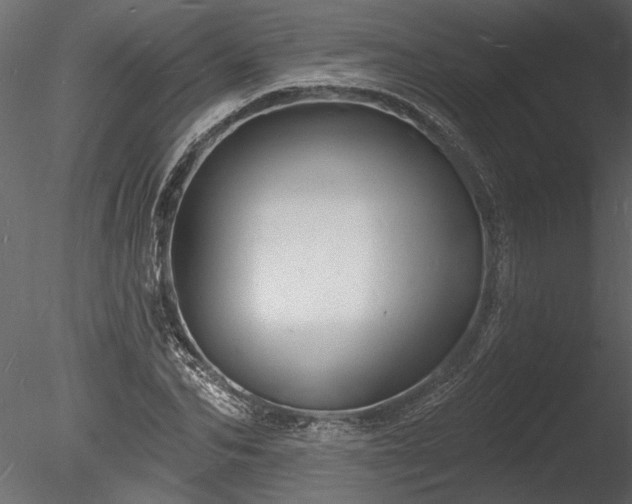 X0000085280974200703161419