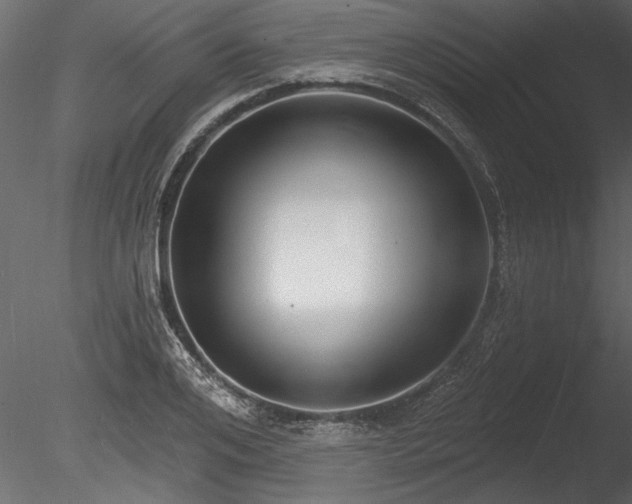 X0000085280984200703161419