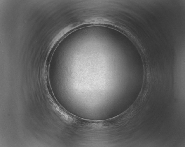 X0000085280990200703161418