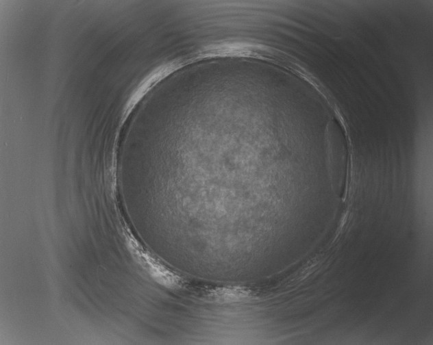 X0000085280994200703161418