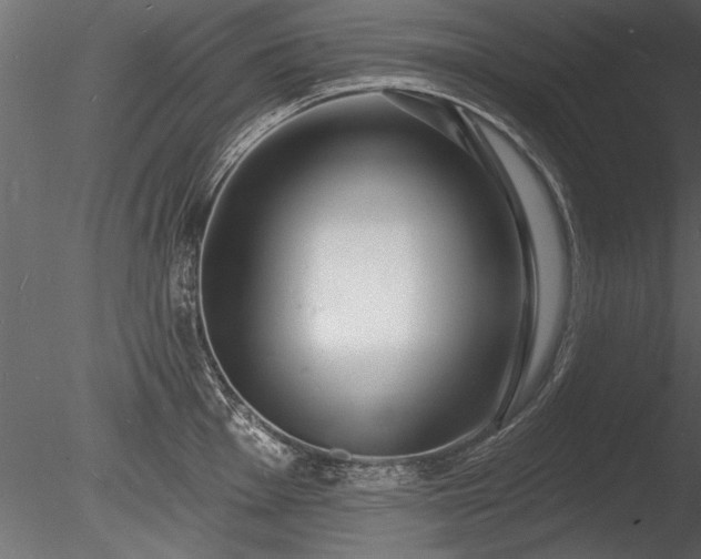 X0000085281001200703161418