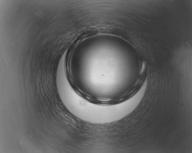 X0000085281010200703161417