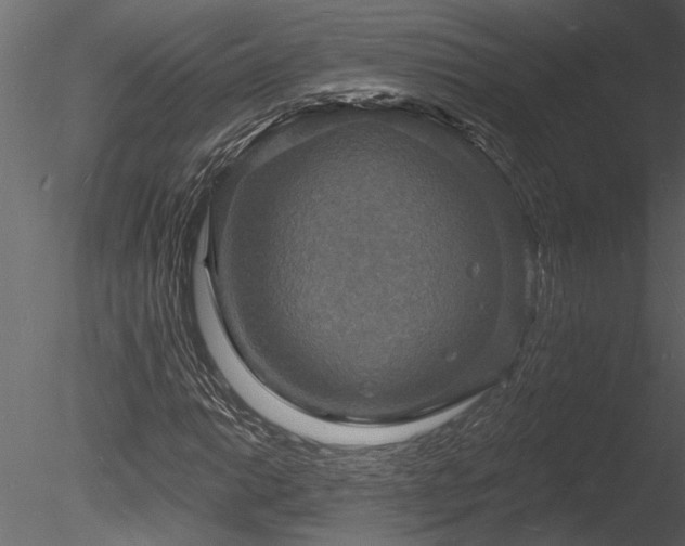 X0000085281014200703161417