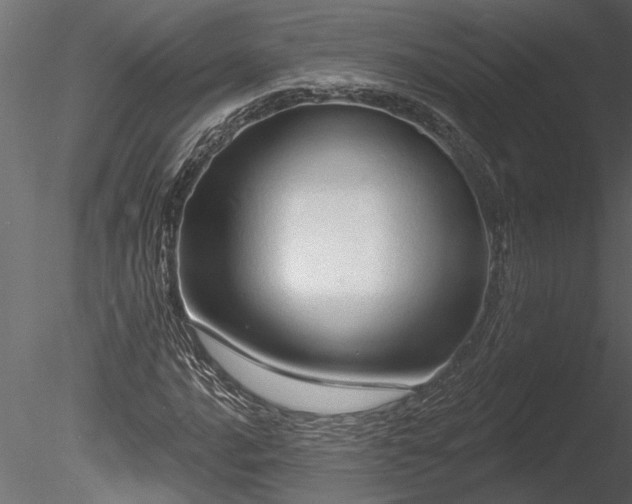 X0000085281016200703161417