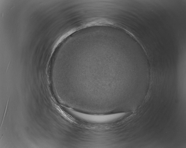 X0000085281026200703161418