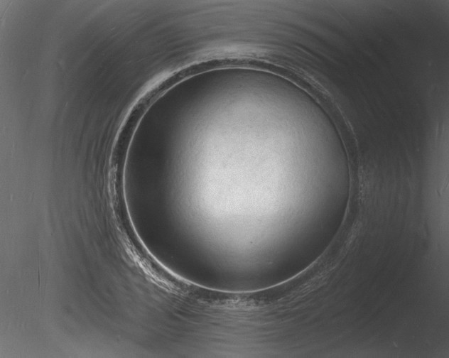 X0000085281029200703161418