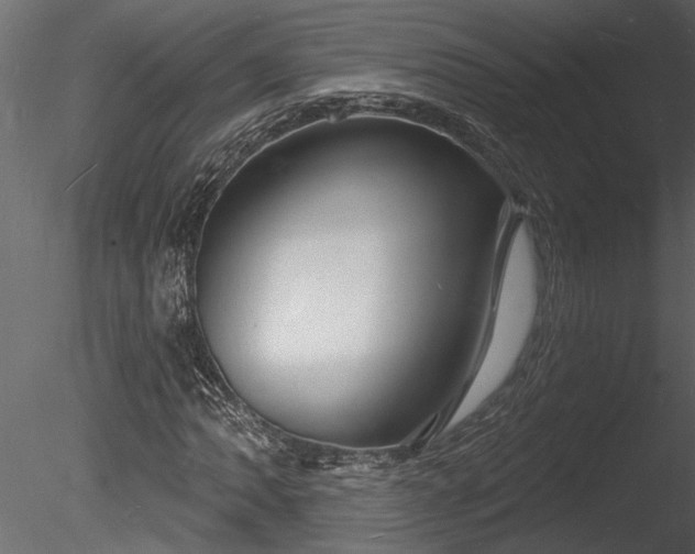 X0000085281062200703161417